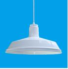 Pendent  light