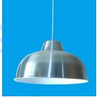 Pendent  light