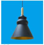 Pendent  light