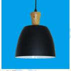 Pendent  light