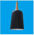 Pendent  light