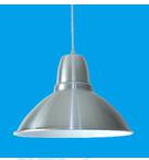 Pendent  light