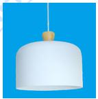 Pendent  light