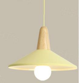 Pendent  light