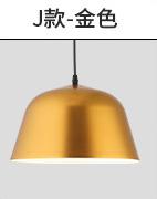 Pendent  light