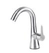 Stainless Steel Basin Faucet