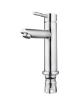 Stainless Steel Basin Faucet