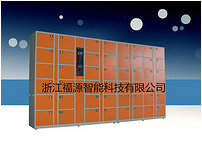 Fuyuan combined 48-bar barcode storage cabinet