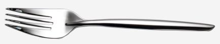 STFeather Series-Servicing Fork,230mm,stainless steel 304