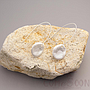 Earring / Dangler / Eardrop / Jewelry     NE336 