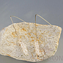Earring / Dangler / Eardrop / Jewelry NE349