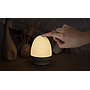 Rechargeable Battery Smart Egg Lamp-D14*H19cm