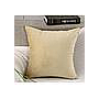 Cushion Cover-Velvet，40*40cm