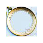 Glass Plate