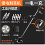 Small lithium mower option 3