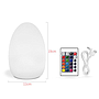 Rechargeable Battery Egg Lamp-D11*H19cm