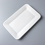 Rectangular Flat Plate 12"