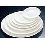 Classic Style YY Series- Flat Plate 12" Main Course Plate